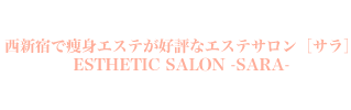 西新宿で痩身エステが好評なエステサロン~サラ~